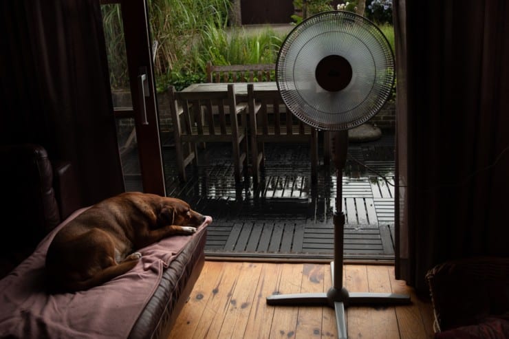 Quietest fans for sleeping