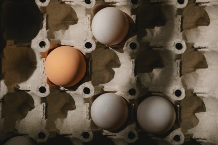 Do Egg Cartons Really Work for Soundproofing?