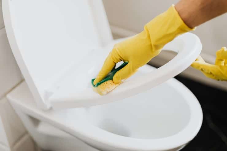 Which Is Better - Wood or Plastic Toilet Seat?