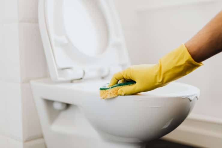 how to get rid of frogs in the toilet