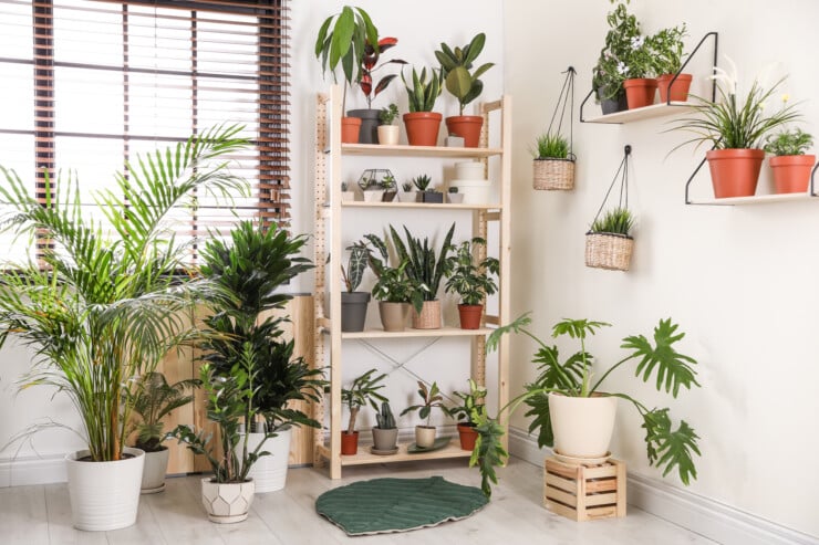 How do you set up a small indoor garden