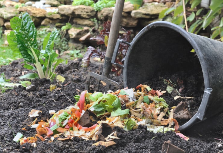 What are the steps to composting at home