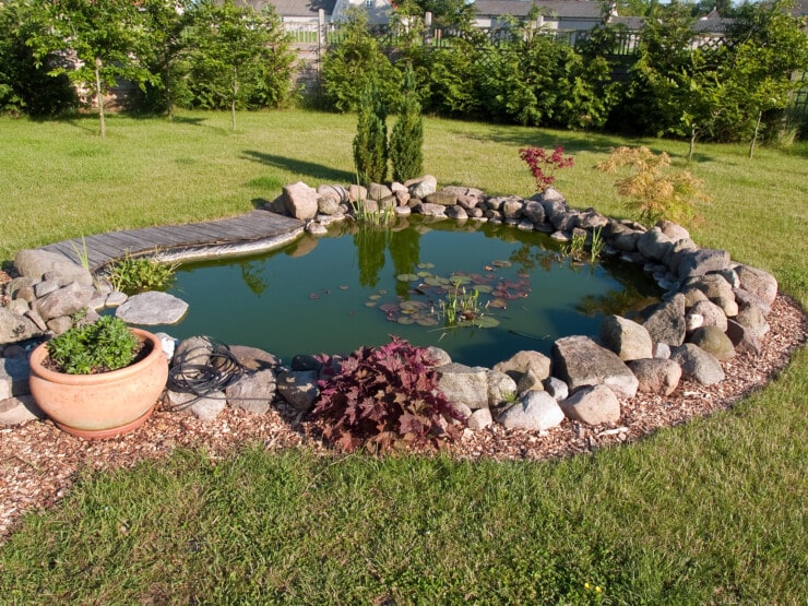 Maintaining A Clean Pond In Your Backyard